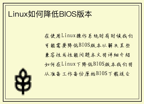 Linux如何降低BIOS版本